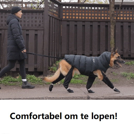 PawComfort - Winterlaarzen voor Honden | Bescherming tegen Kou en Regen