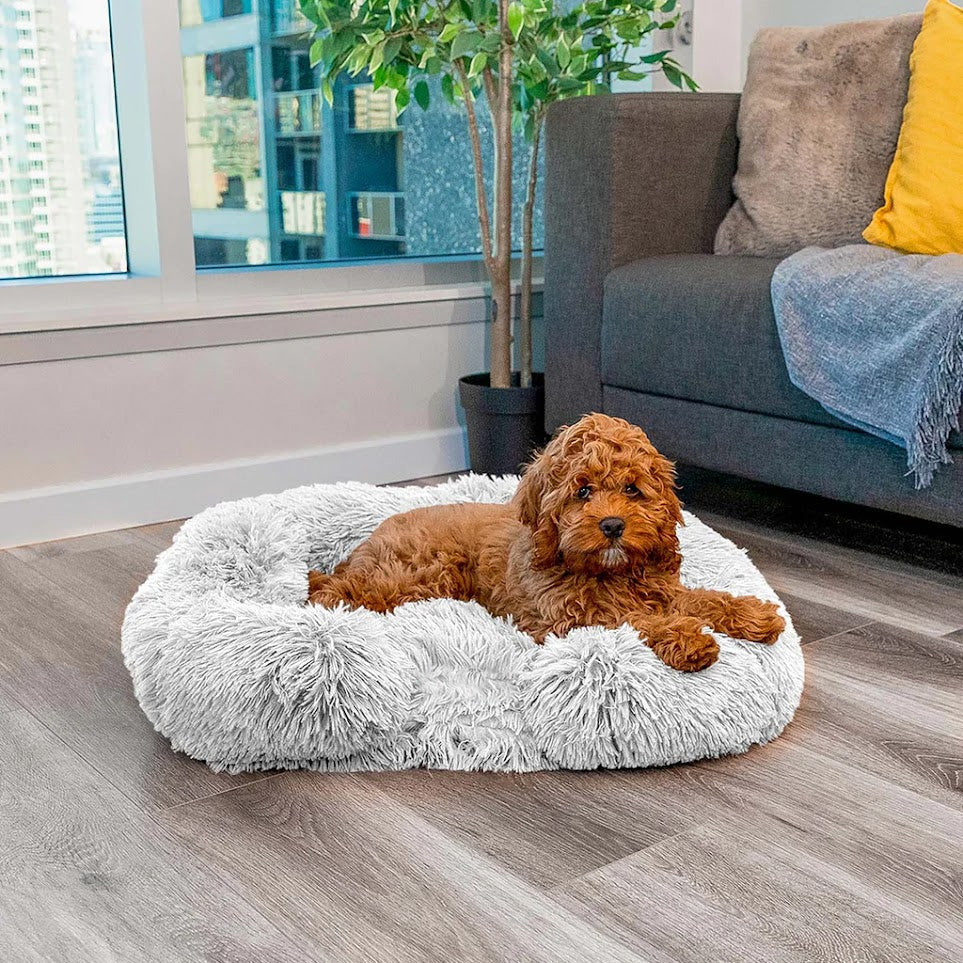 PawComfort - Comfortabel Hondenbed | Perfect voor een Goede Nachtrust