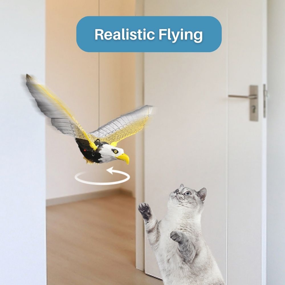 Interactief Vogel Kattenspeelgoed - Voor Jacht en Spel