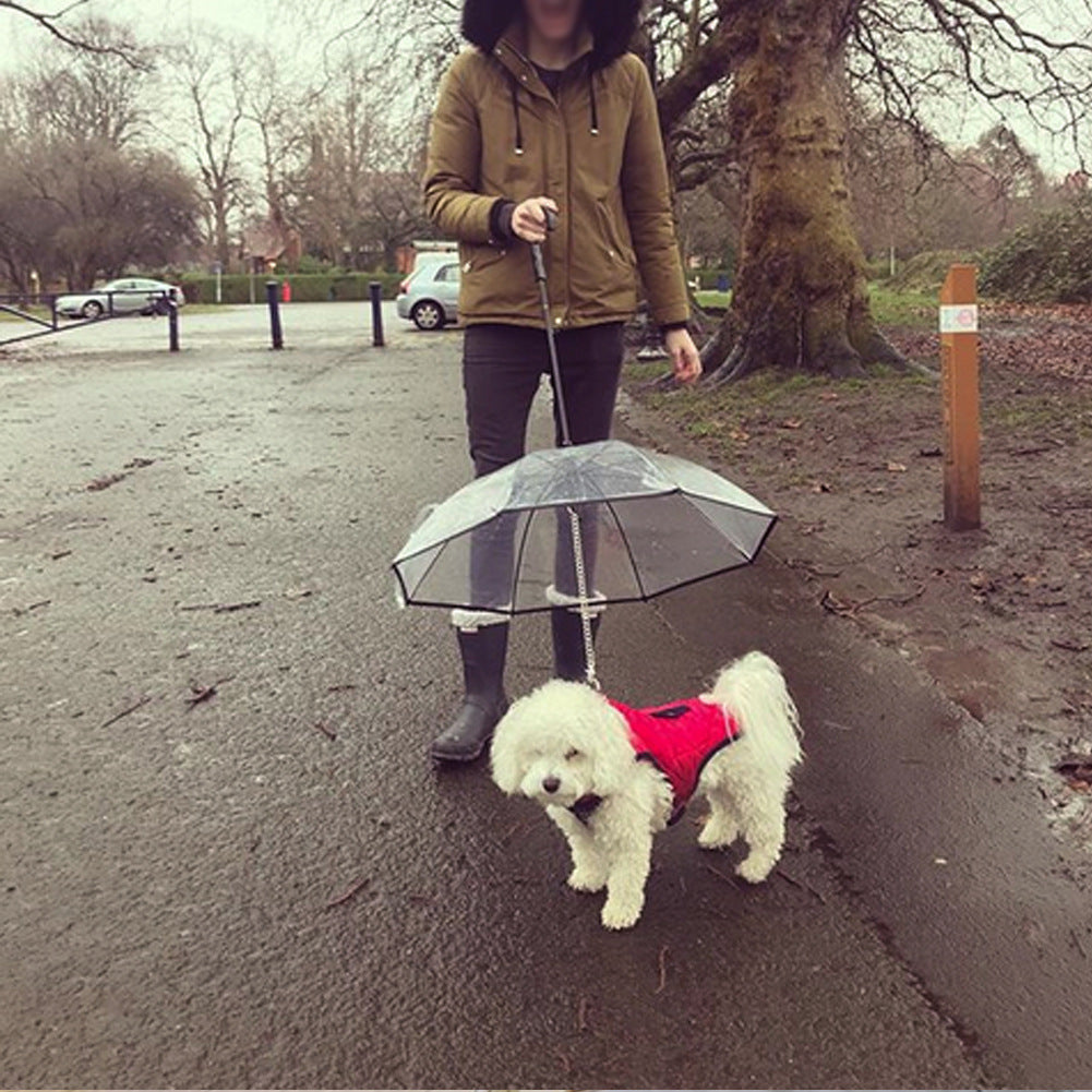 Transparante Huisdierparaplu - Bescherm je Hond tegen Regen