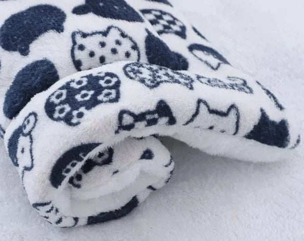 Warm kattendekentje