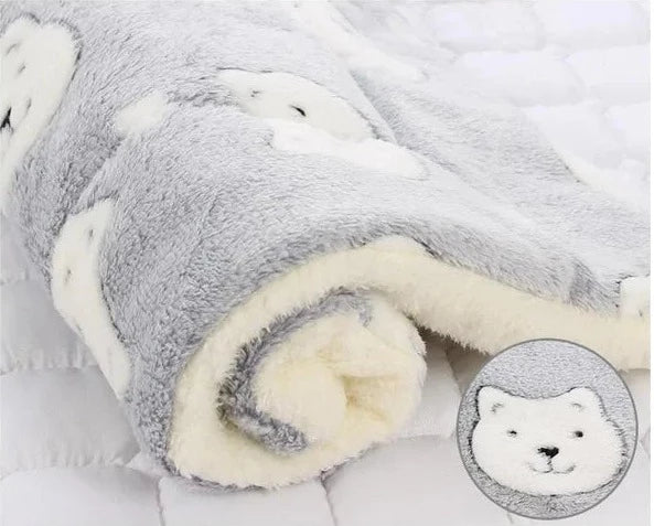 Warm kattendekentje