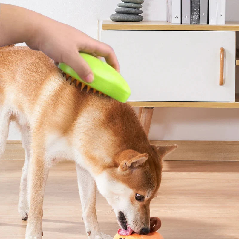 Huisdierhaar Borstel - Voor Hond en Kat
