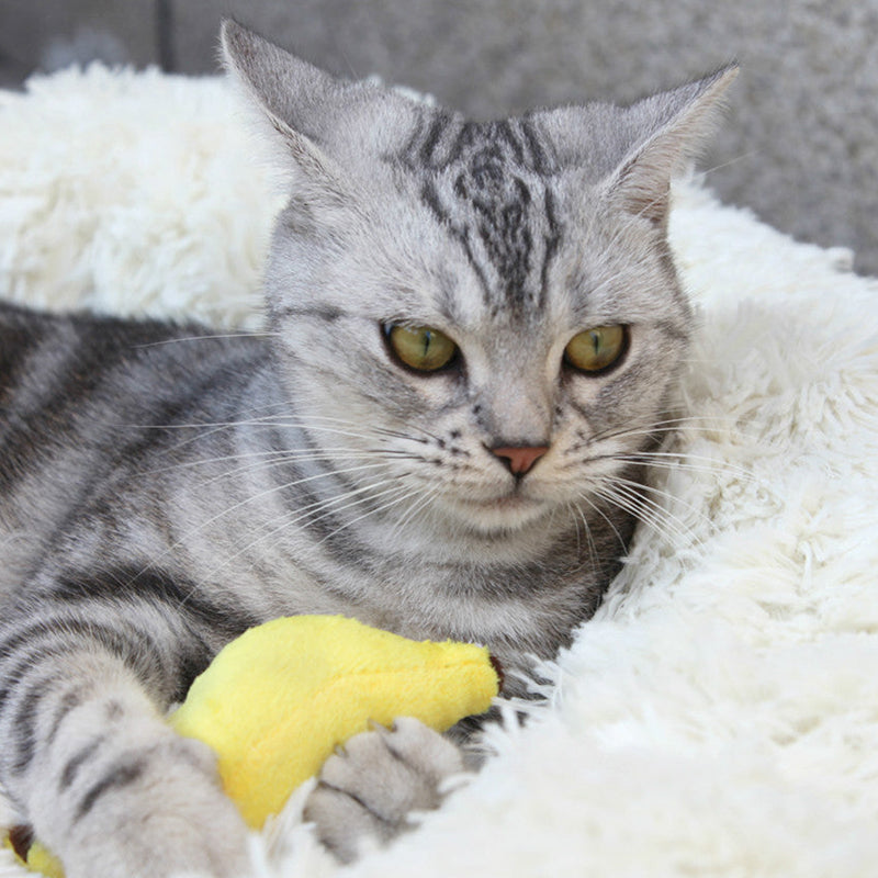 Pluche Kattenspeeltje in Bananenontwerp - Leuk en Aantrekkelijk