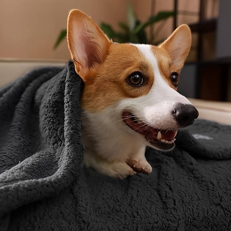 PawComfort - Cozy Fleece Blanket voor Honden | Warm en Comfortabel