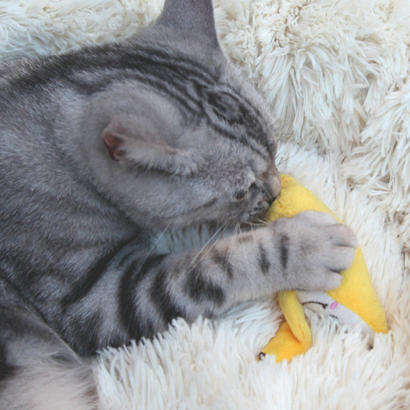 Pluche Kattenspeeltje in Bananenontwerp - Leuk en Aantrekkelijk