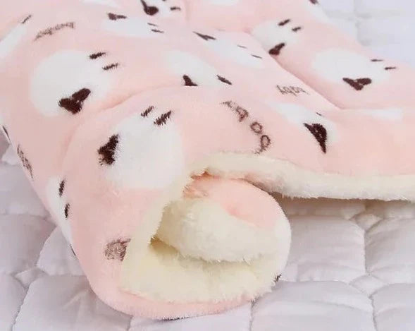 Warm kattendekentje