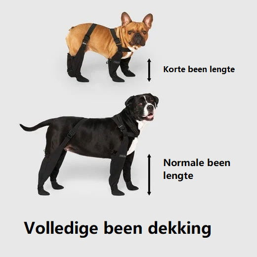 PawComfort - Winterlaarzen voor Honden | Bescherming tegen Kou en Regen
