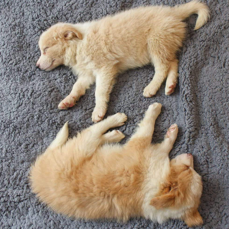 PawComfort - Cozy Fleece Blanket voor Honden | Warm en Comfortabel