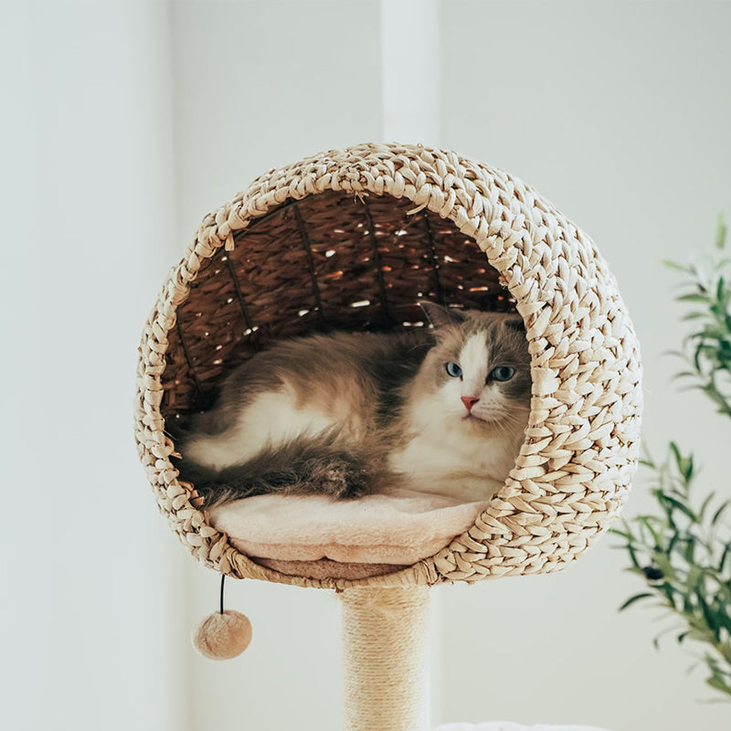 Vogelnest Kattenboom - Speel- en Rustplek voor Katten