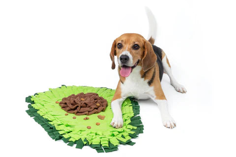Snuffelmat voor Honden - Mentaal Stimulerend Speelgoed