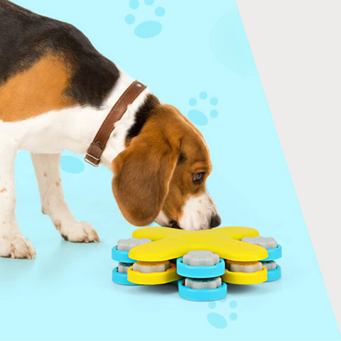 Hondenpuzzel - Interactief Speelgoed voor Slimme Honden