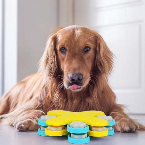 Hondenpuzzel - Interactief Speelgoed voor Slimme Honden