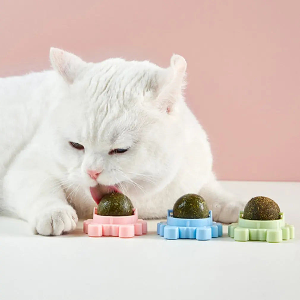 Kattenkruid Bal - Voor Extra Speelplezier