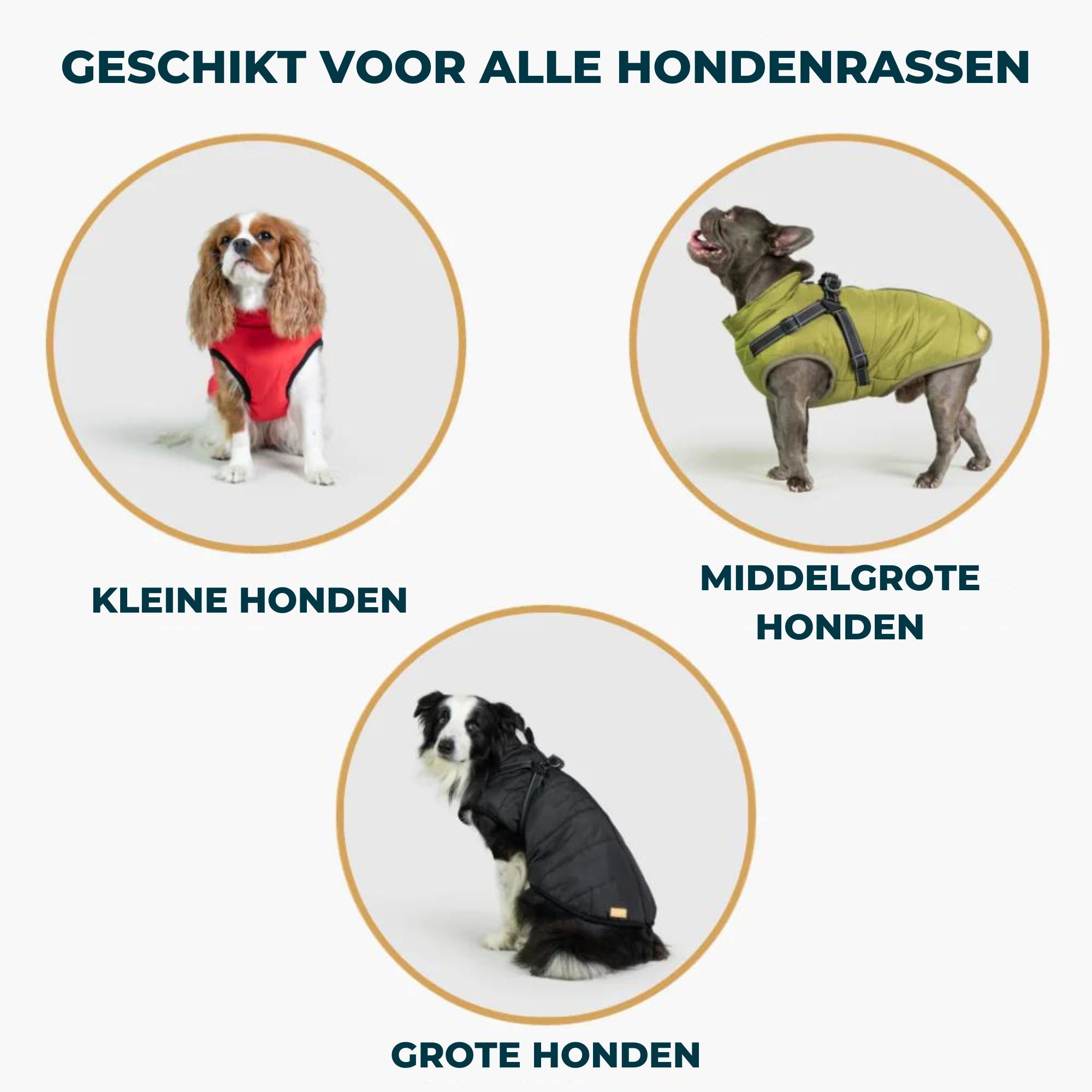 PawComfort - Hondenjas met Ingebouwd Harnas | Perfect voor Winterse Avonturen