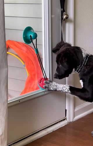 Honden Trektouw - Sterk Speelgoed voor Trekspelletjes