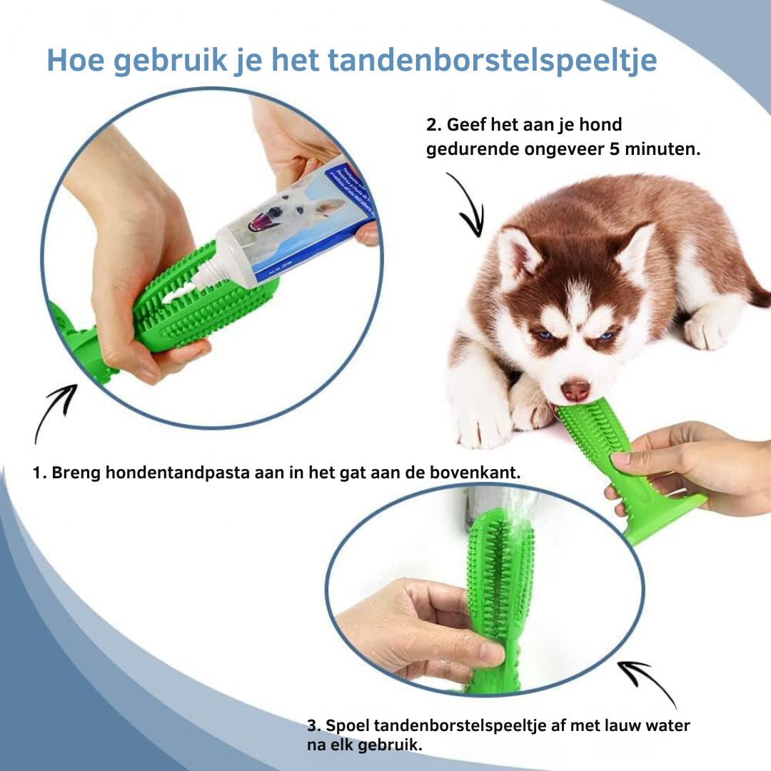 Tandenborstelspeeltje voor Honden - Tandverzorging & Speelplezier