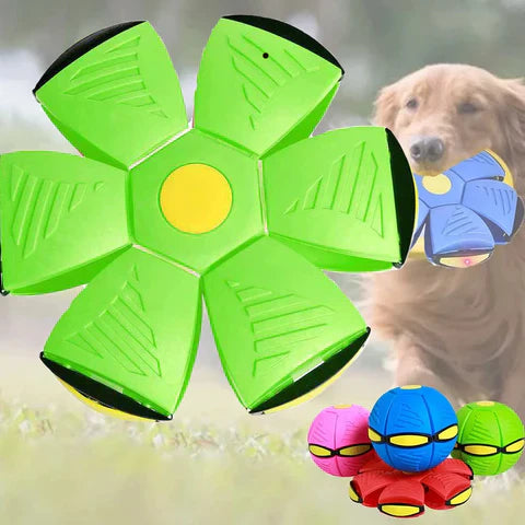 Frisbeebal - 2-in-1 Frisbee en Speelbal