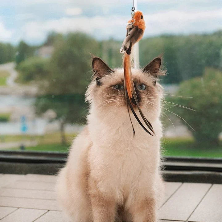 Unieke Vogeltje Kattenspeeltje voor Katten - Perfect voor Speelplezier