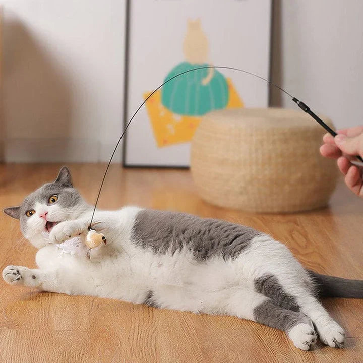 Unieke Vogeltje Kattenspeeltje voor Katten - Perfect voor Speelplezier