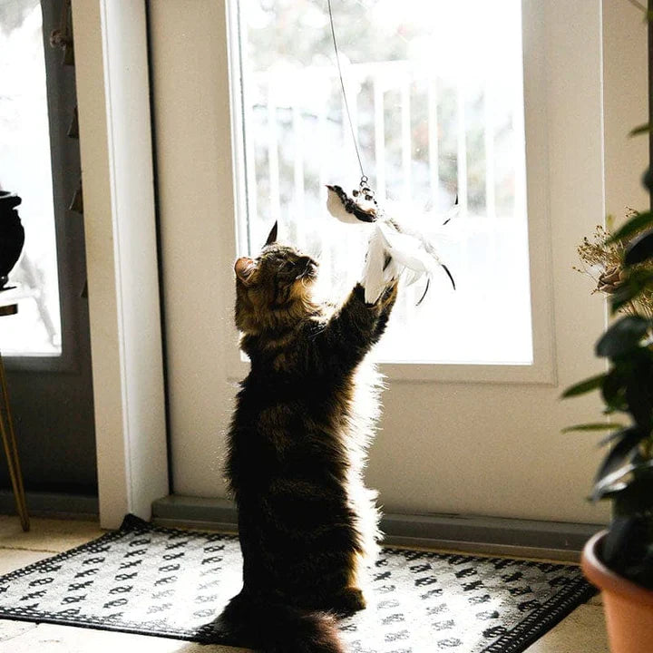 Unieke Vogeltje Kattenspeeltje voor Katten - Perfect voor Speelplezier