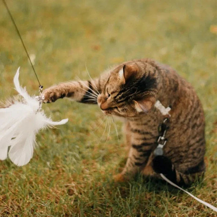 Unieke Vogeltje Kattenspeeltje voor Katten - Perfect voor Speelplezier