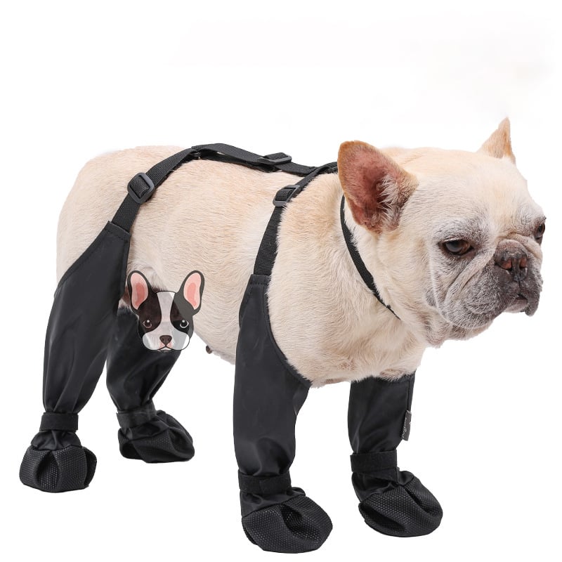 PawComfort - Winterlaarzen voor Honden | Bescherming tegen Kou en Regen