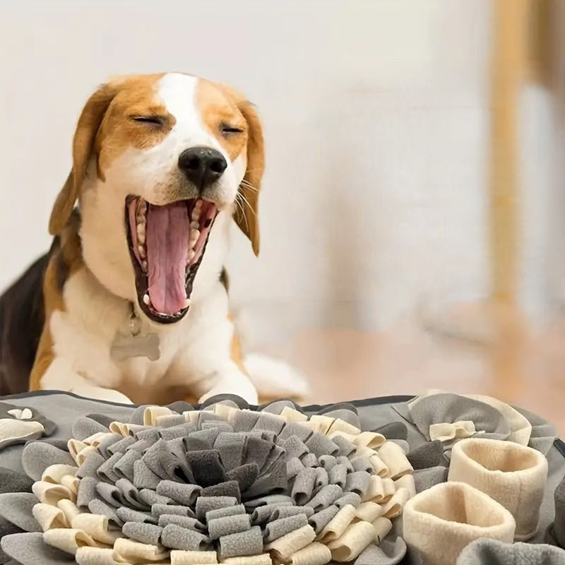 Snuffelmat Hondenspeelgoed - Voor Mentale Stimulatie
