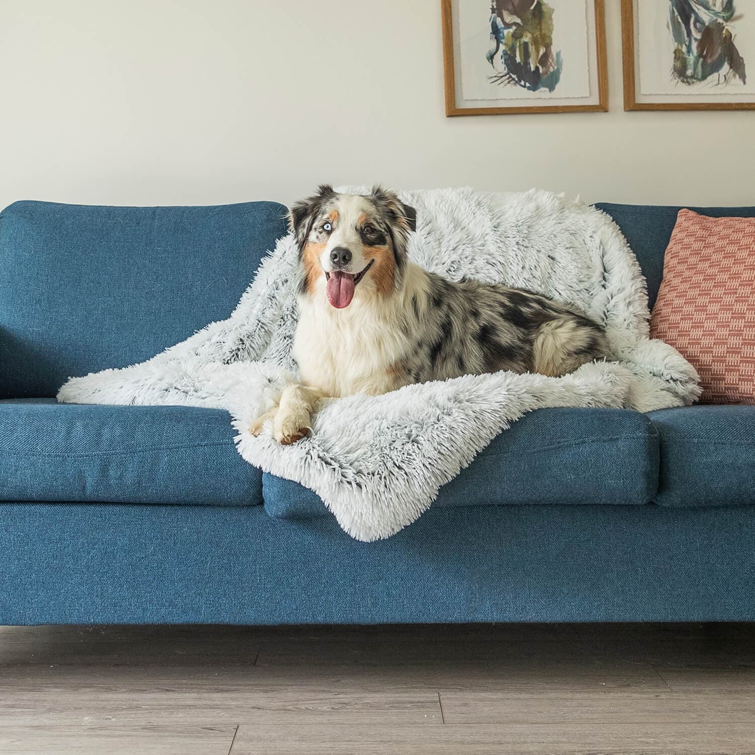 PawComfort - Aangenaam Hondendeken | Warmte voor Koude Dagen