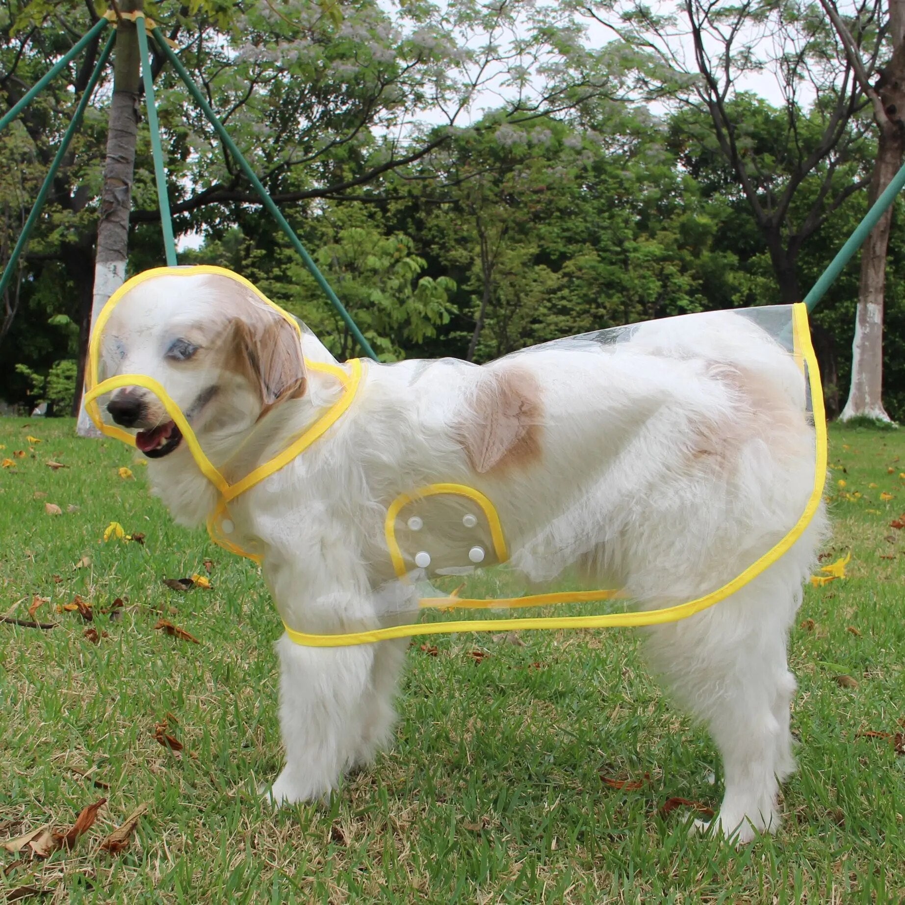Regenponcho voor Honden - Waterdichte Bescherming voor Nat Weer