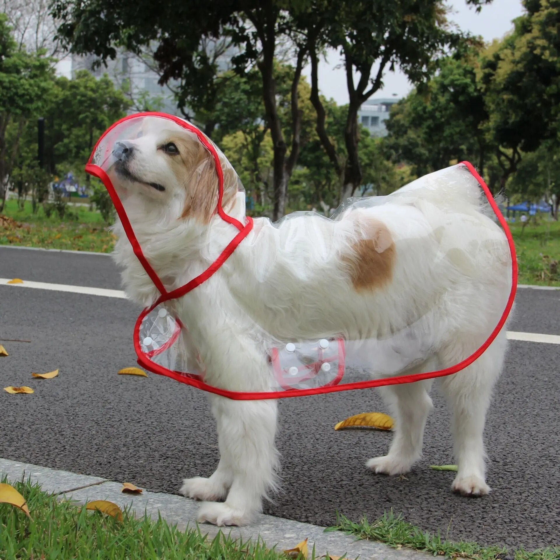 Regenponcho voor Honden - Waterdichte Bescherming voor Nat Weer