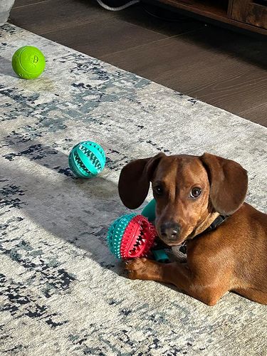 Honden Trektouw - Sterk Speelgoed voor Trekspelletjes